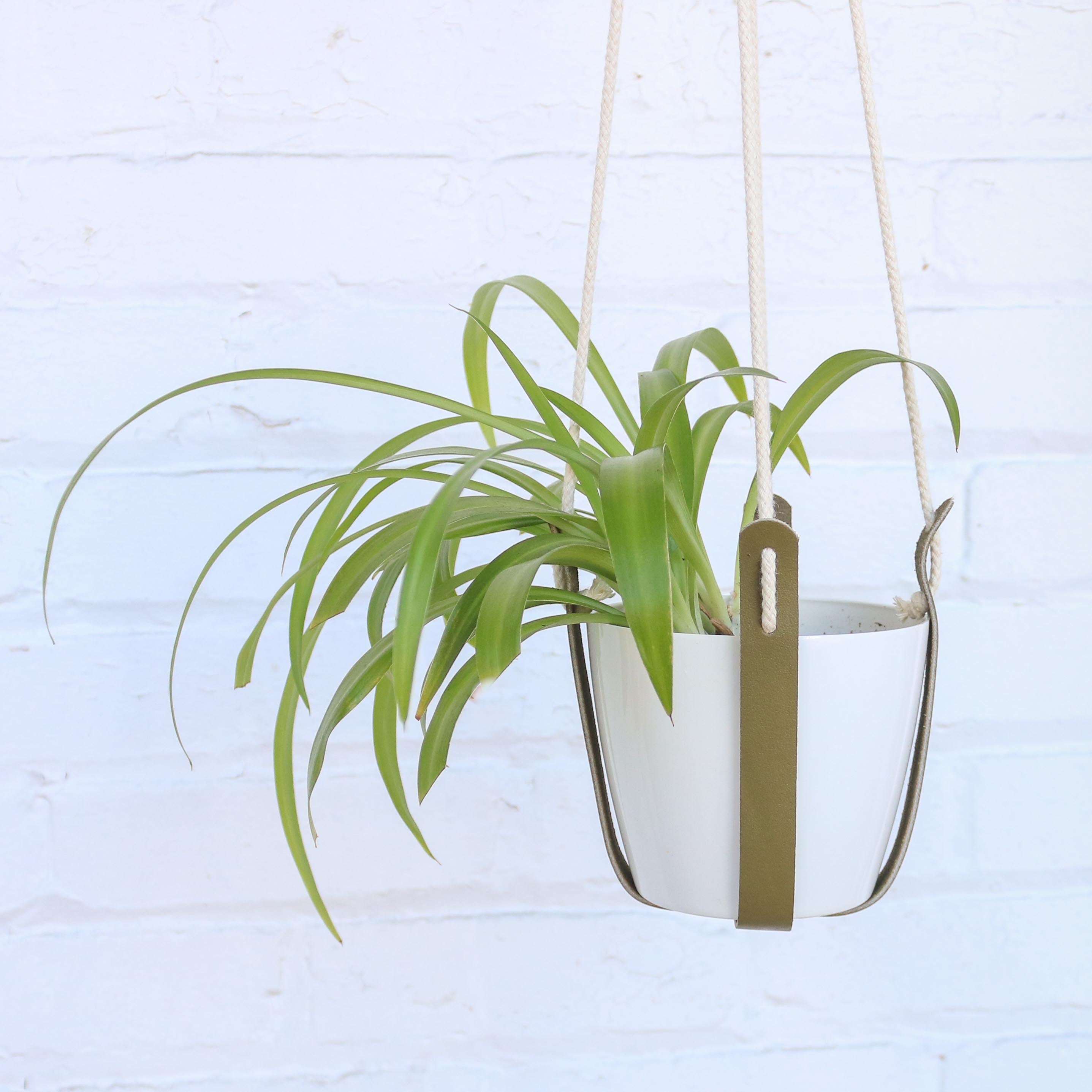 Khaki plant hanger – Chikiboom